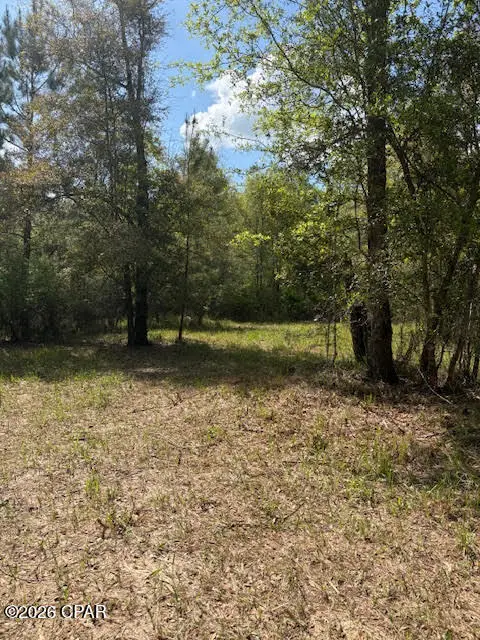 0 Iron Bridge Road, Marianna, FL 32448