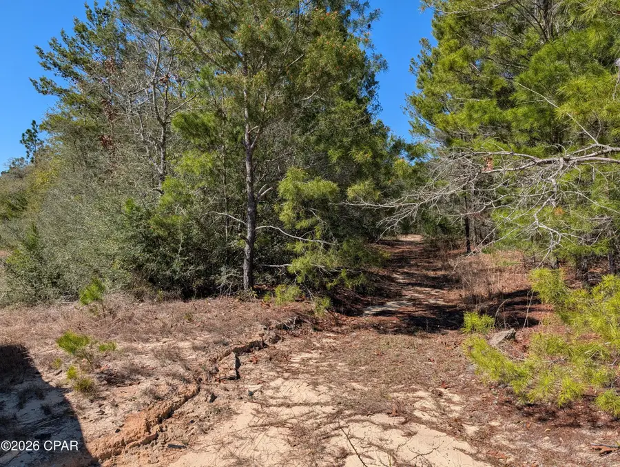 TBD Willow Bend Drive #TBD, Defuniak Springs, FL 32433 - #2