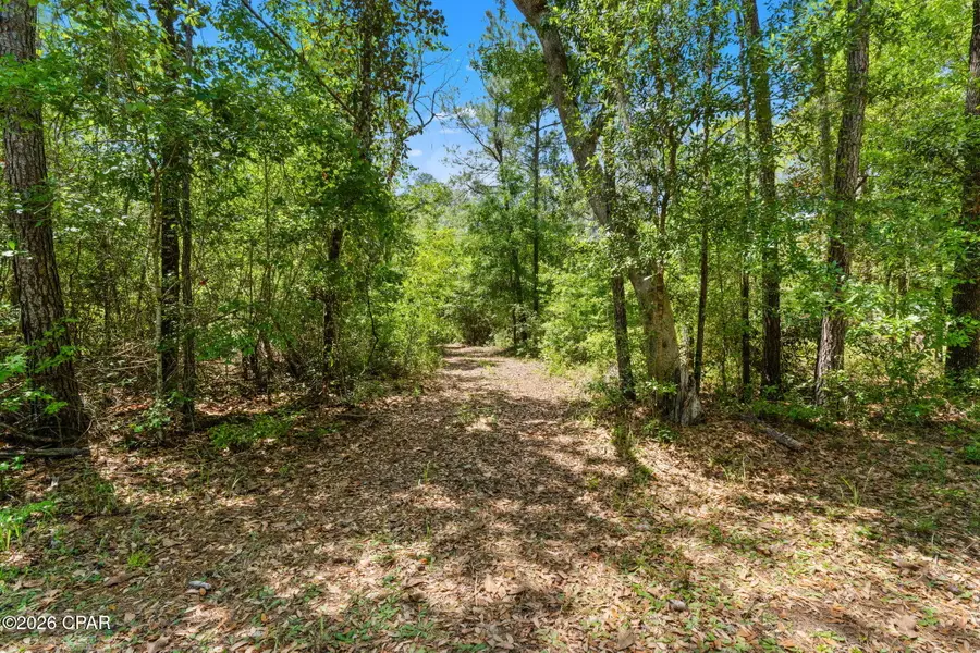 0 Cypress Lane, Chipley, FL 32428 - #3