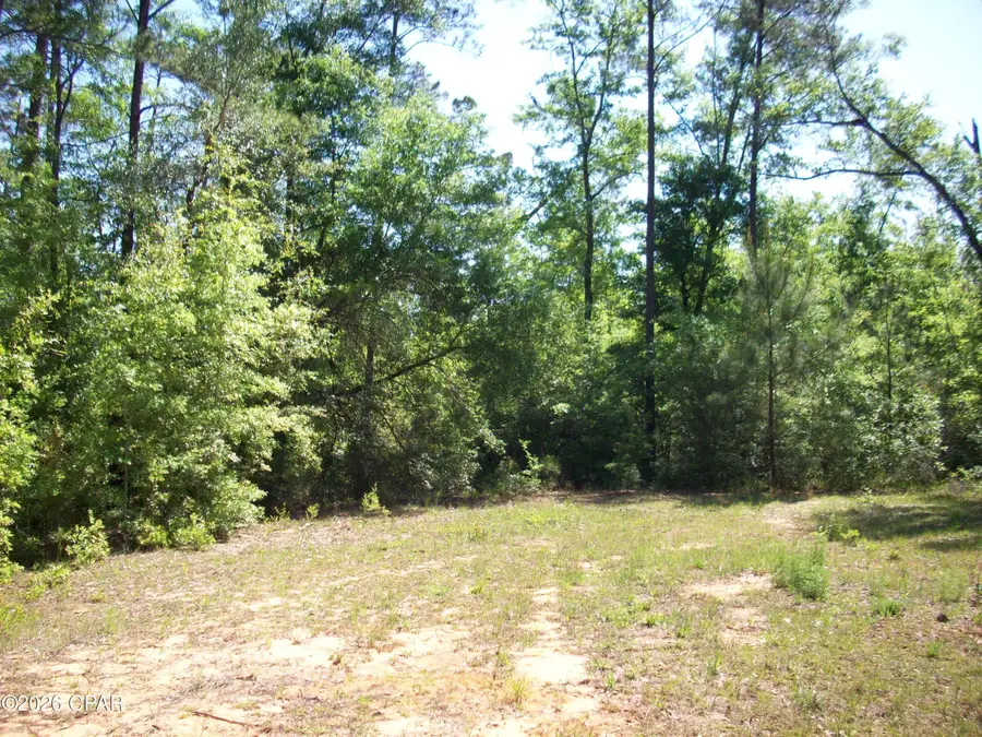 0000 Davis Ct, Alford, FL 32420 - #2