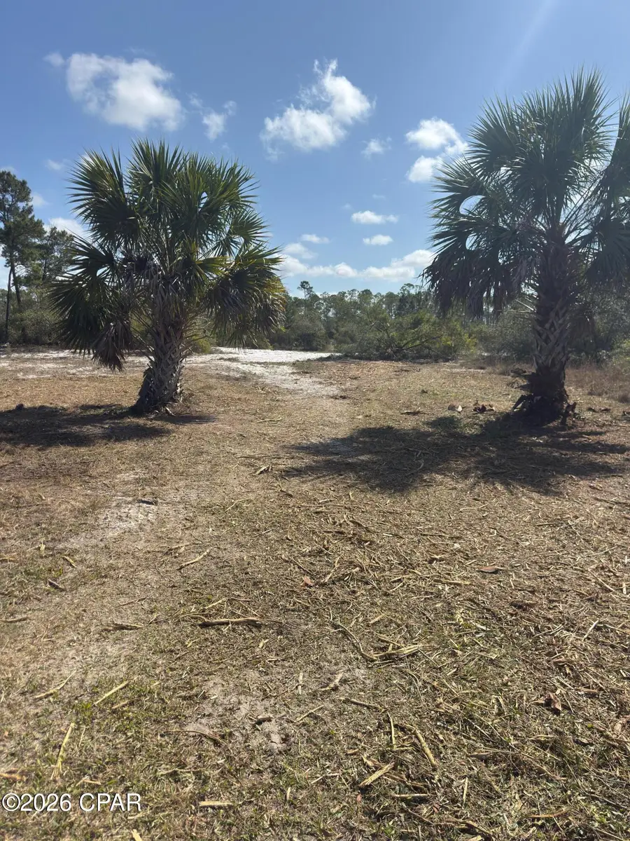 Lot C Adventure Avenue, Port Saint Joe, FL 32456 - #2