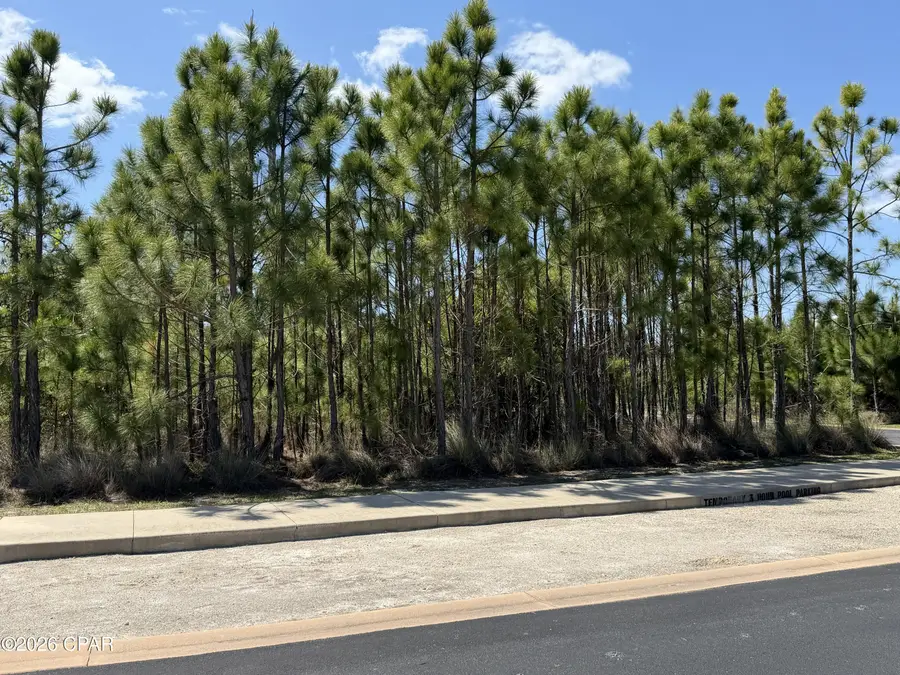 Lot 33 N Echo Lane, Port Saint Joe, FL 32456 - #2