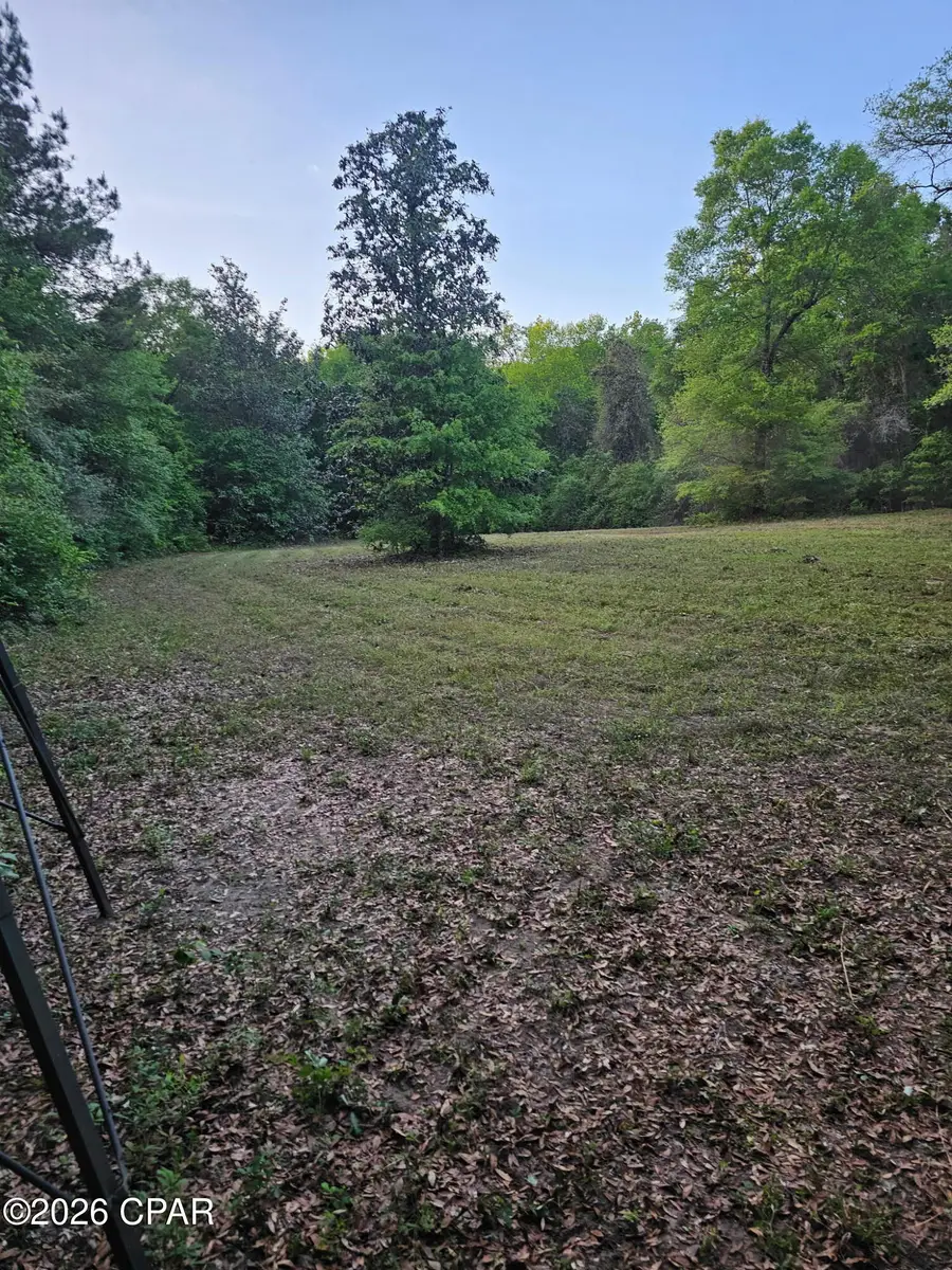 00 Broom Road, Bonifay, FL 32425 - #3