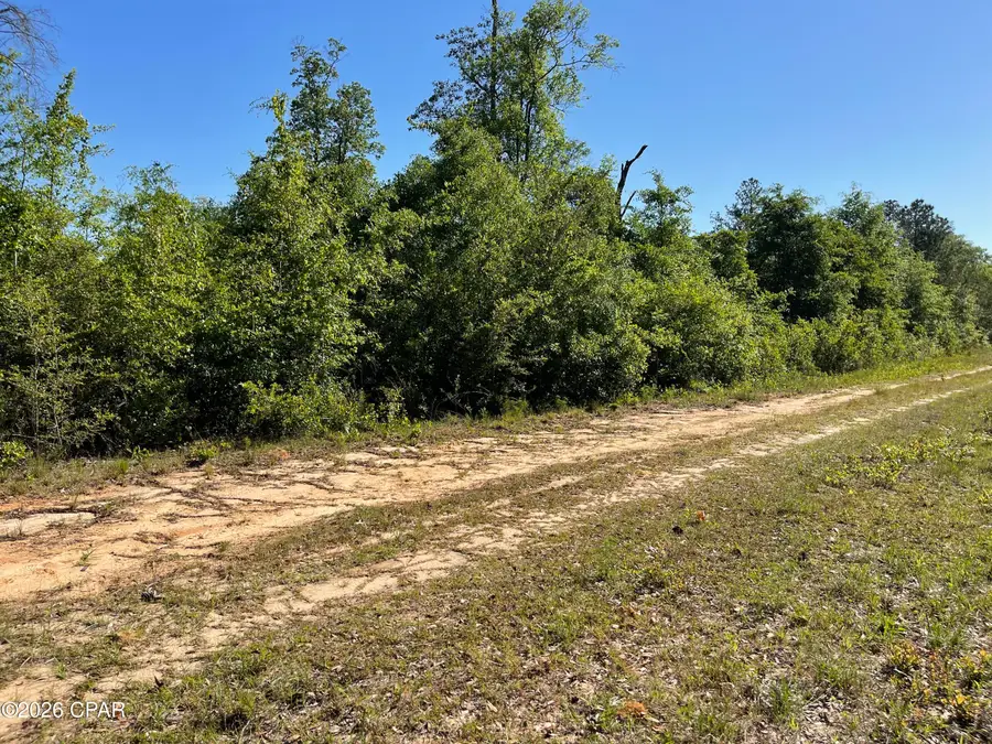 0 Tanager Court, Marianna, FL 32448 - #3