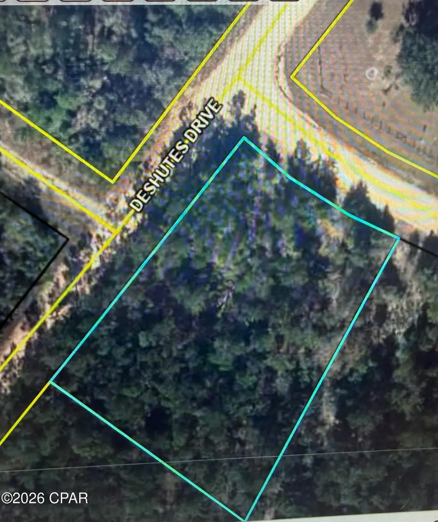 000 Deshutes Drive, Alford, FL 32420 - #3