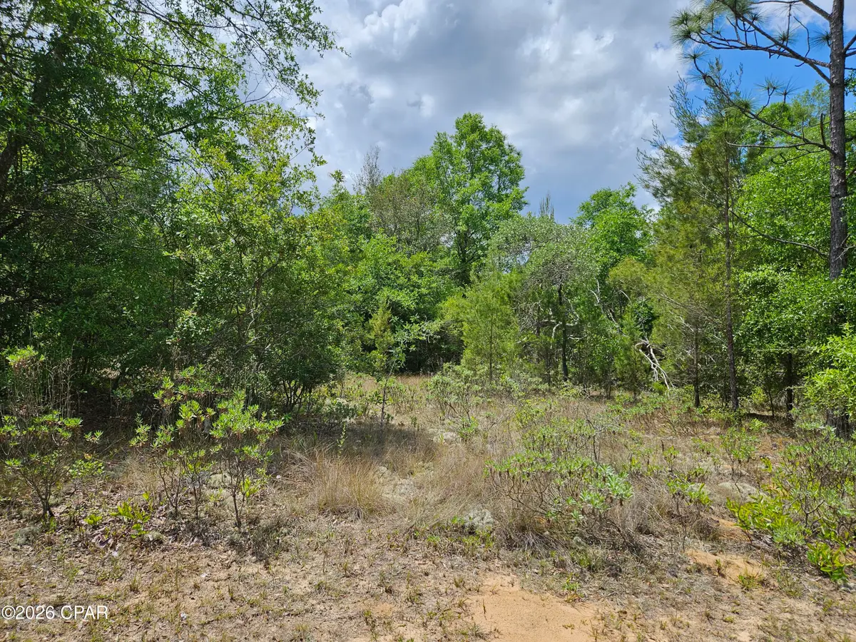 Lot 05 Voltaire Drive, Chipley, FL 32428 - #1