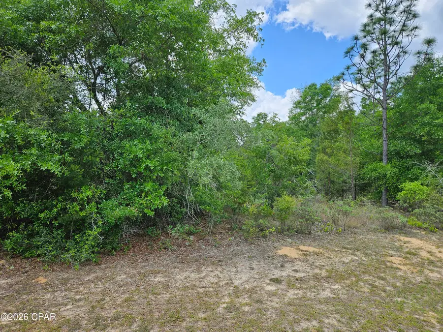 Lot 05 Voltaire Drive, Chipley, FL 32428 - #2
