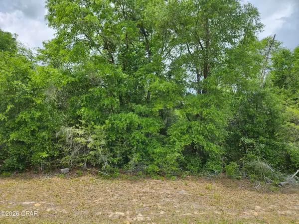 Lot 06 Malone Place, Chipley, FL 32428