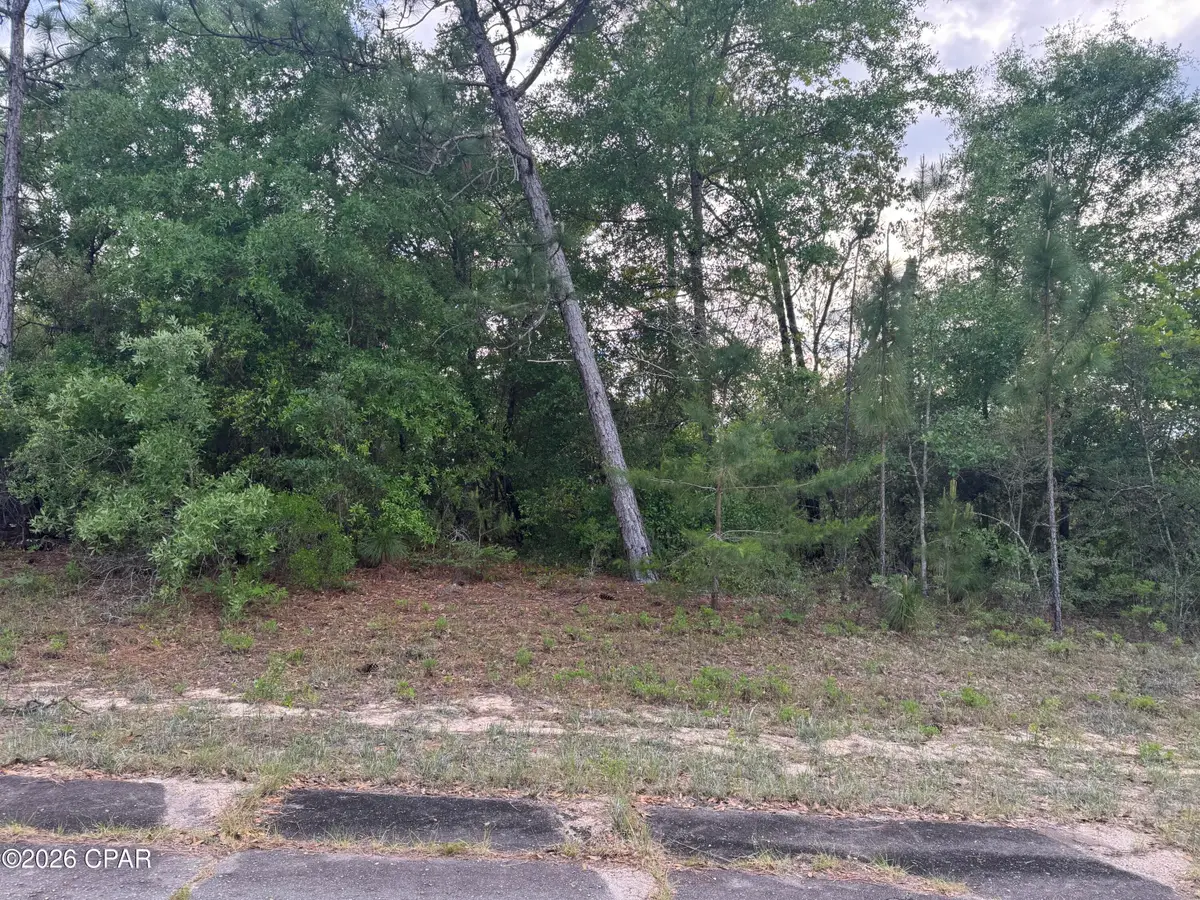 0000 Alhambra Drive, Chipley, FL 32428 - #1