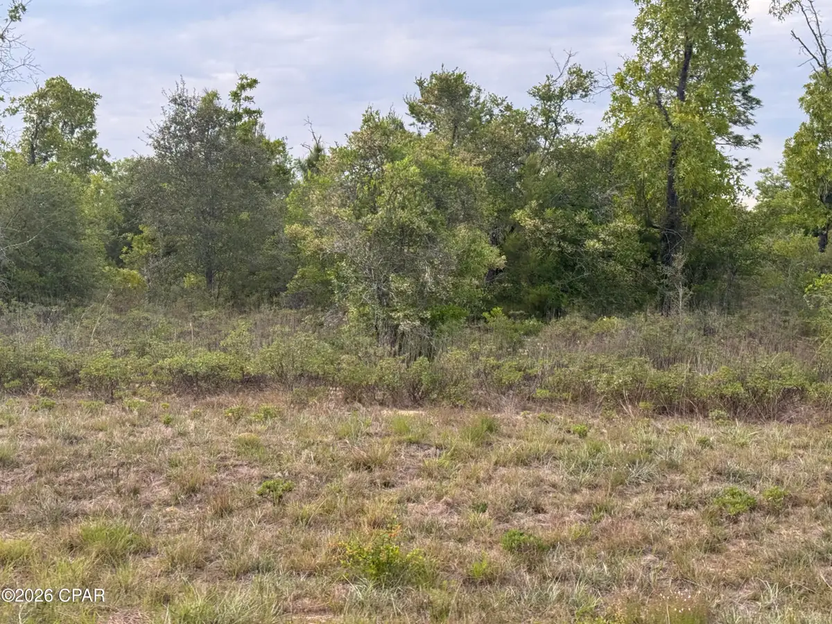 0000 Linden Street, Chipley, FL 32428 - #1