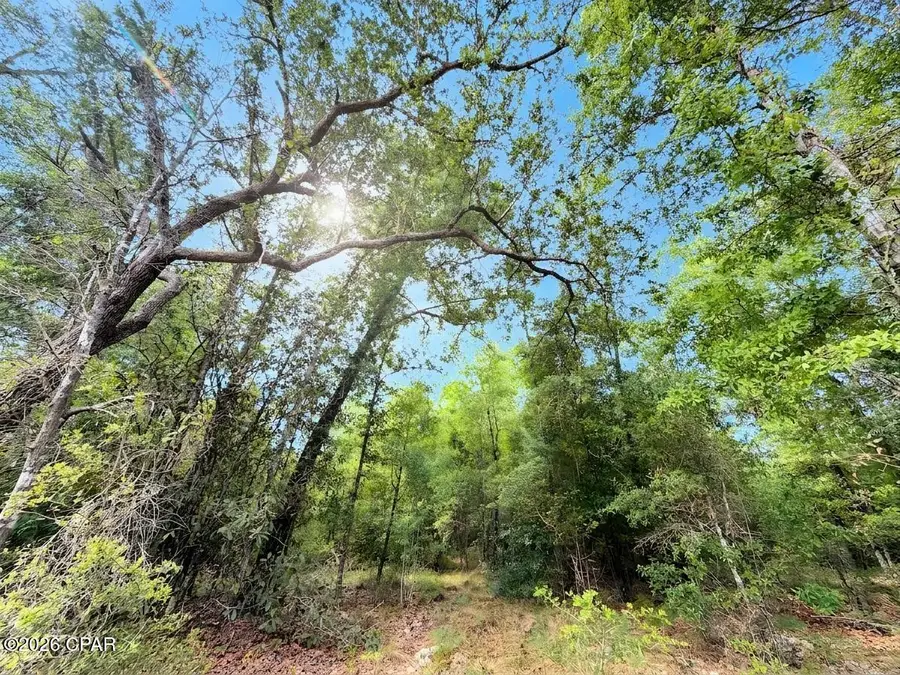 0000 Broadview Avenue, Alford, FL 32420 - #2