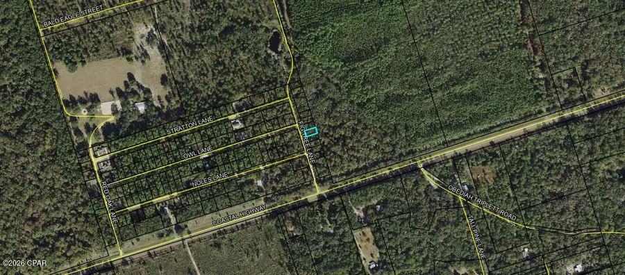 Lot 8 Fig Tree Lane, Crawfordville, FL 32327 - #2