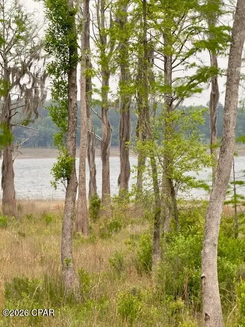 TBD Lakeshore Drive, Chipley, FL 32428 - #2
