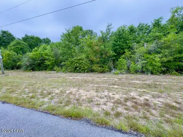 LOT 19 Blk 0569 Airmont Drive, Chipley, FL 32428 - #2