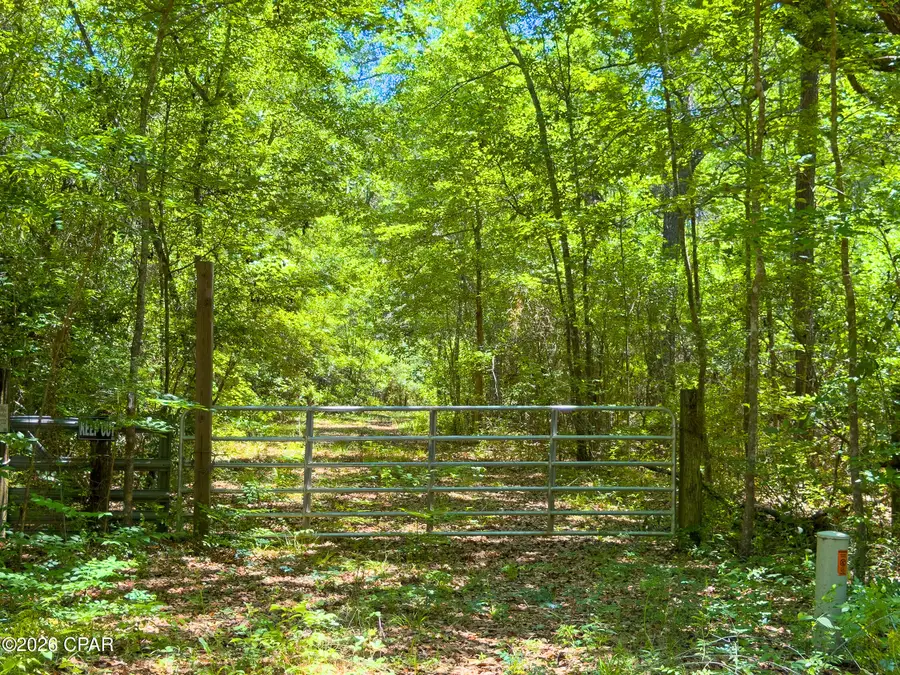 tbd Darby Lane, Sneads, FL 32460 - #3
