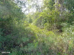 Lot 7 & 8 NW Mckenzie Boulevard, Altha, FL 32421 - #3