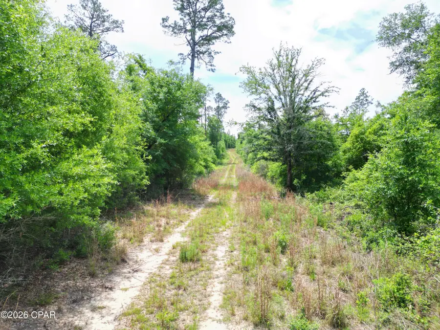 TBD Pittman Hill Road, Marianna, FL 32448 - #3