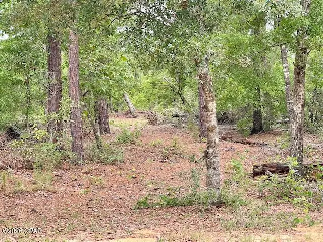 0 E Dixie Drive, Marianna, FL 32448 - #1