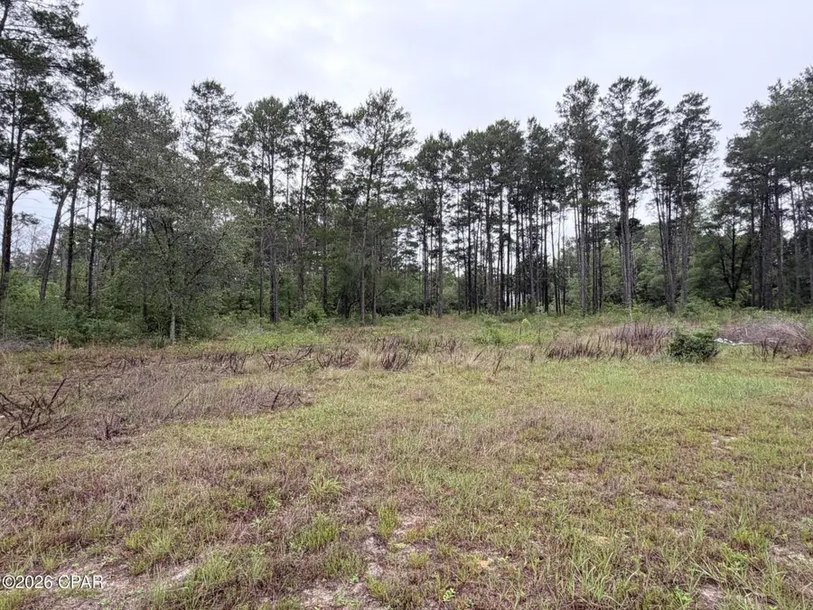 811 Tashanna Lane, Panama City, FL 32409 - #2