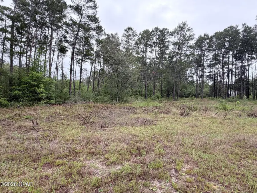811 Tashanna Lane, Panama City, FL 32409 - #3