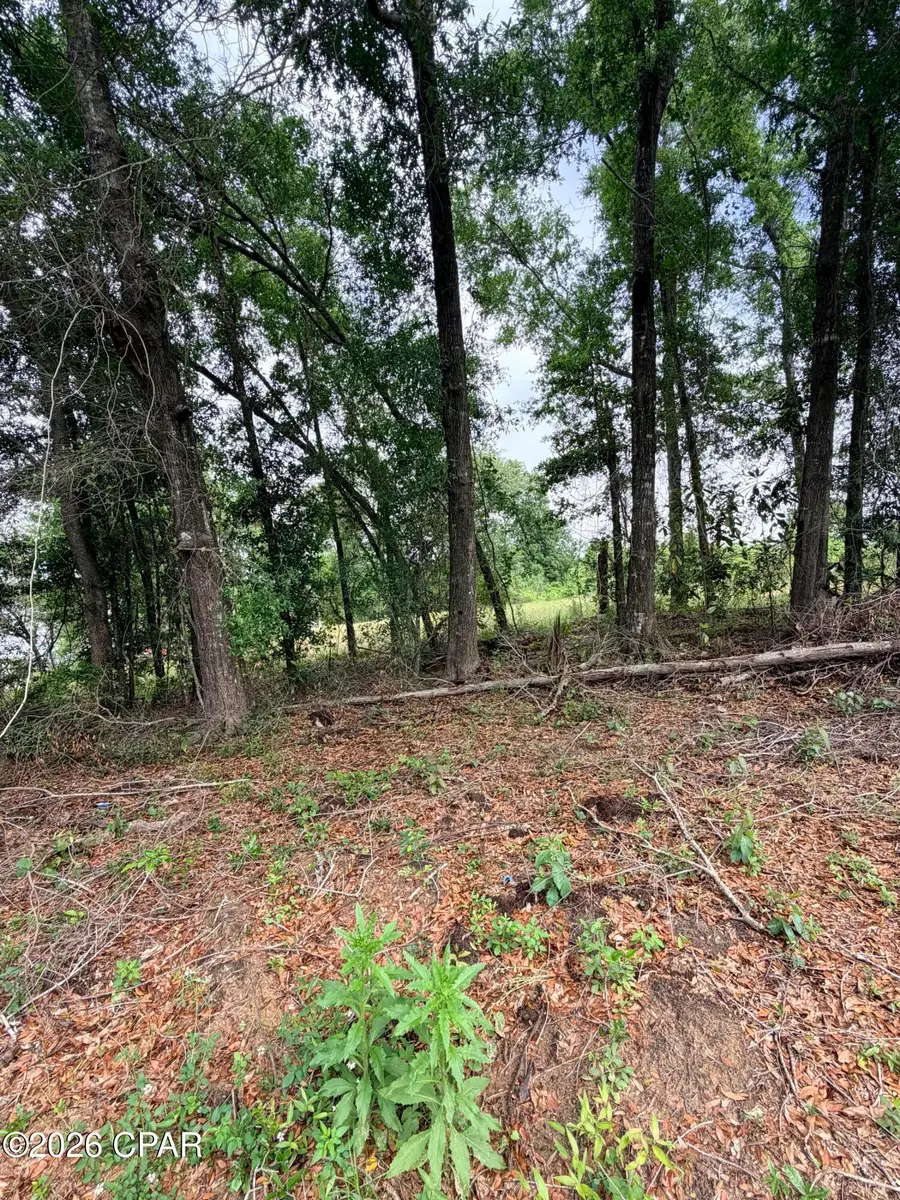 XX Mona Lane, Alford, FL 32420 - #2