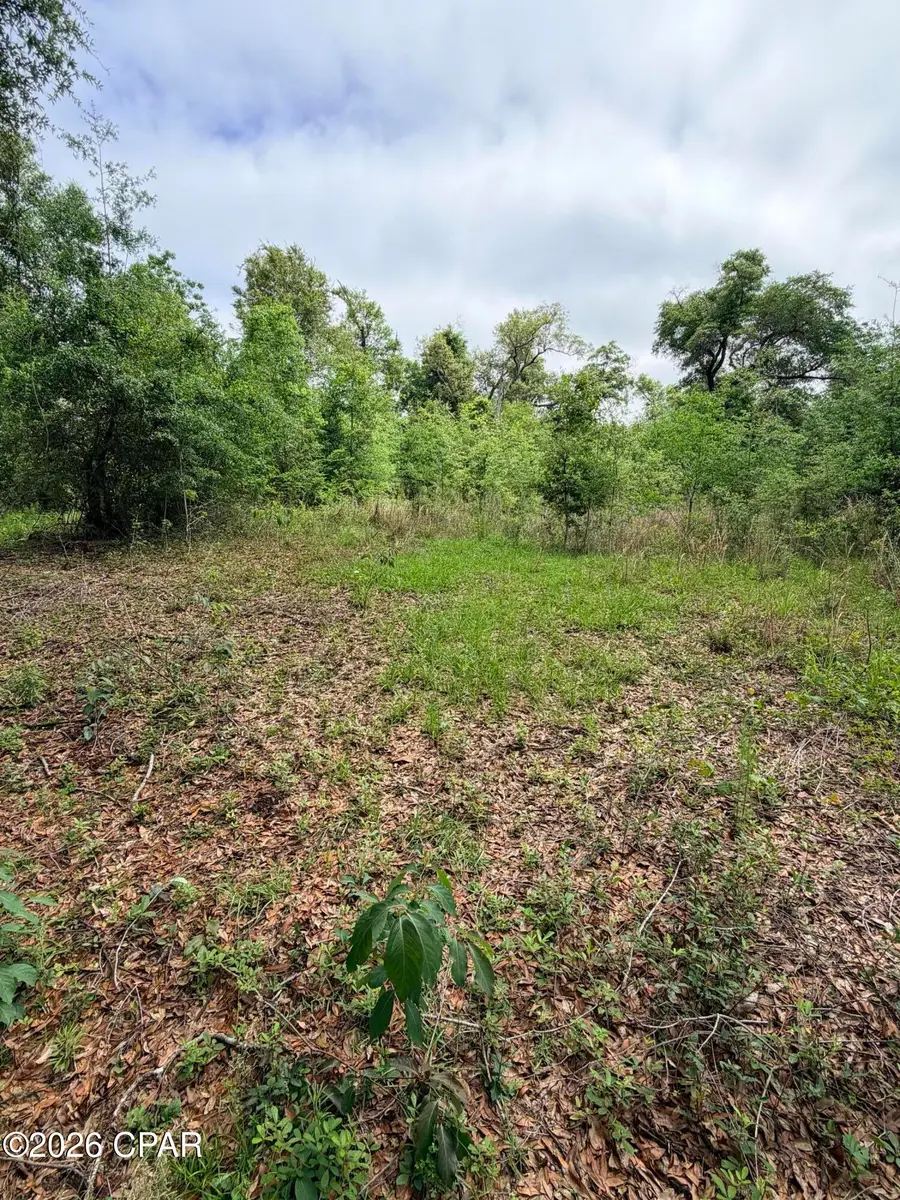 XX Mona Lane, Alford, FL 32420 - #3