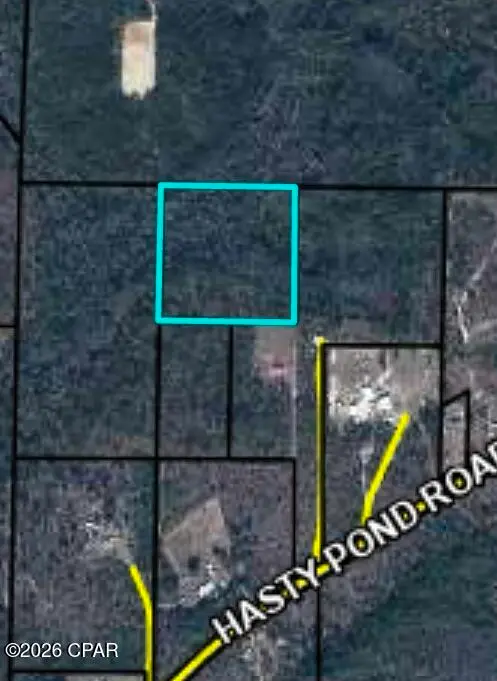 0 Hasty Pond Road, Marianna, FL 32448 - #1