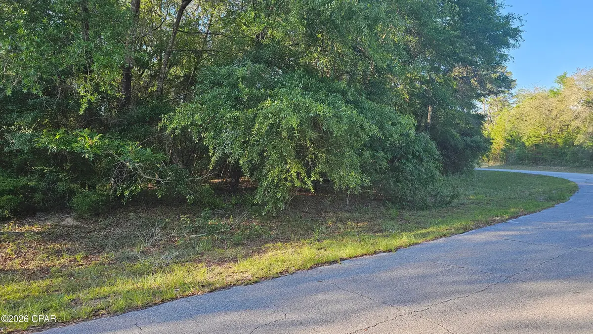 Lot 10 Janet Circle, Chipley, FL 32428 - #1