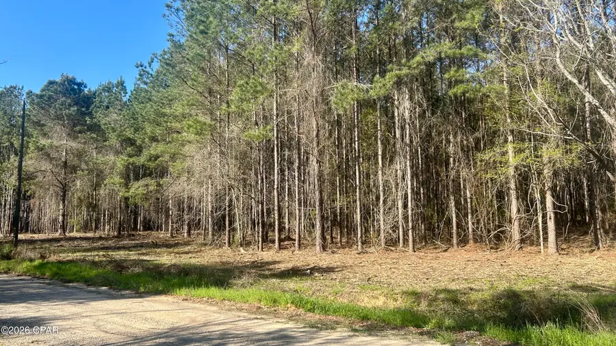 K Grimes Road, Laurel Hill, FL 32567 - #3