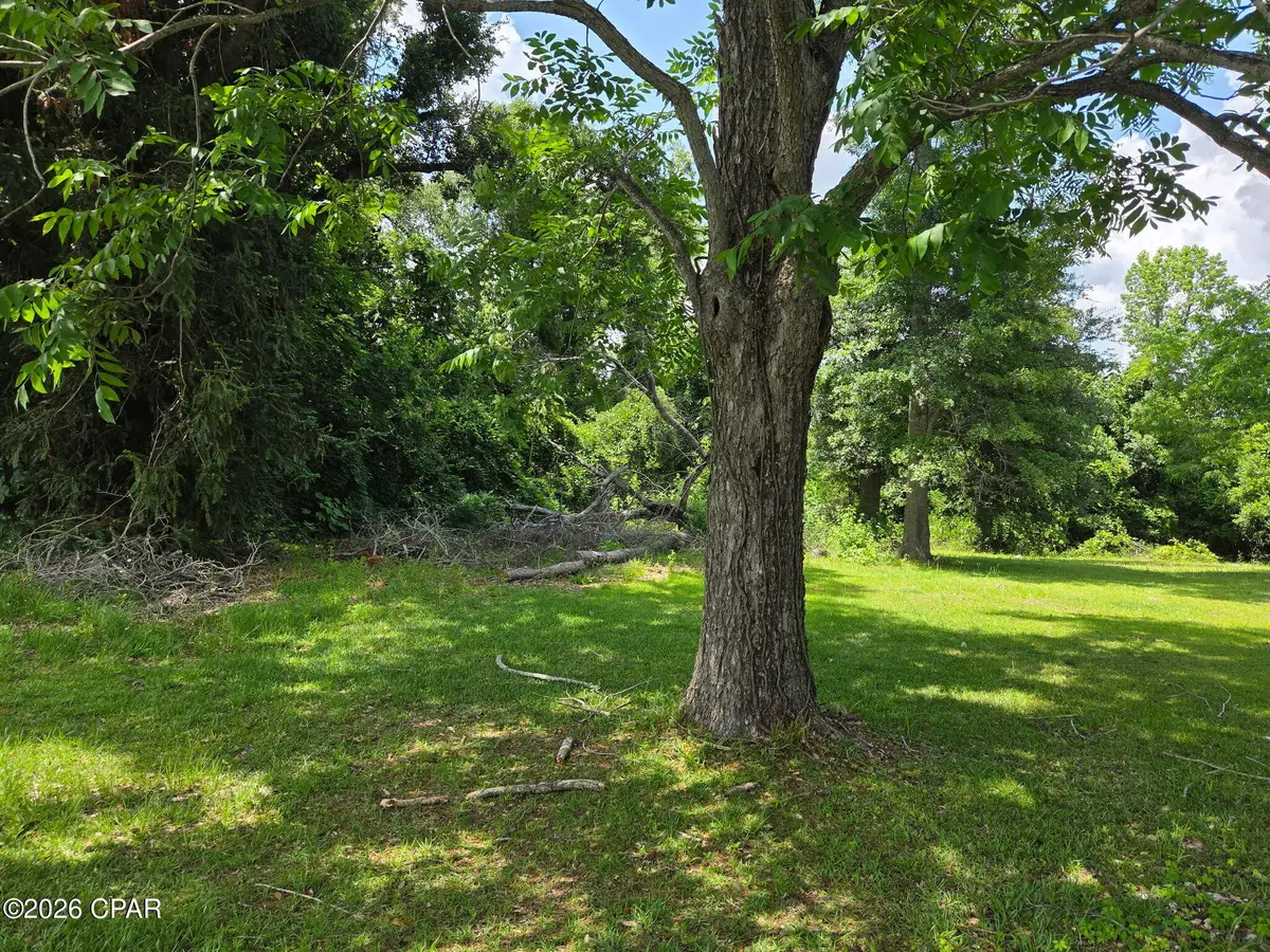 4164 Baltzell Street, Marianna, FL 32446 - #1