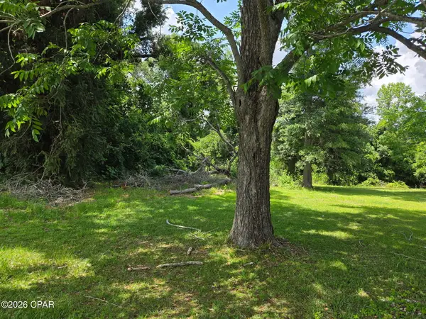 4164 Baltzell Street, Marianna, FL 32446