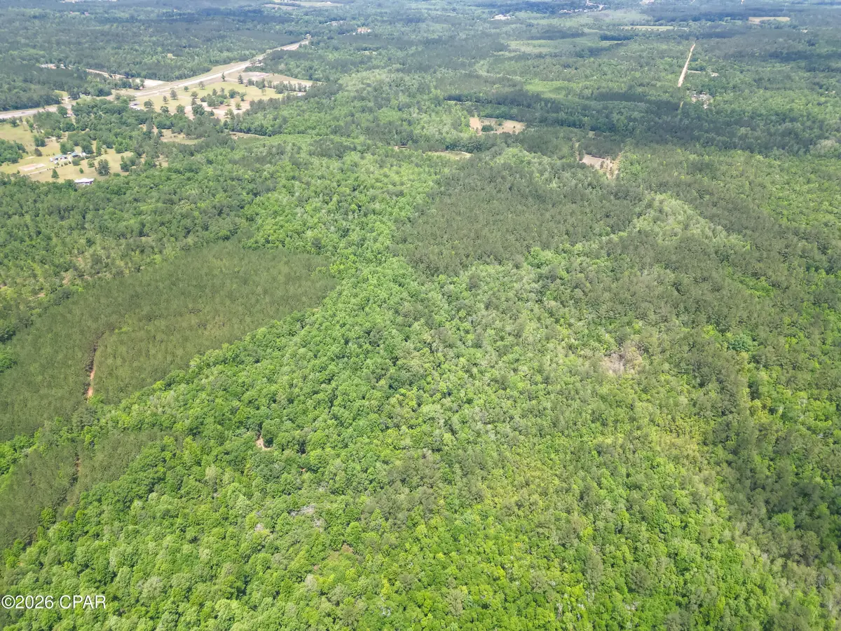 0000 Avon Street, Chipley, FL 32428 - #1