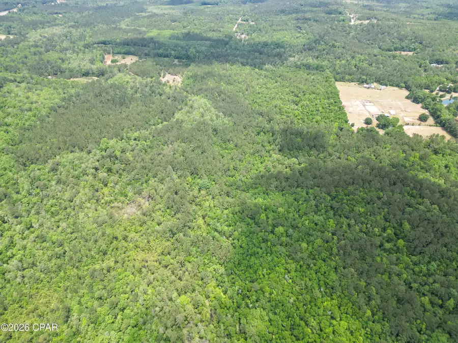 0000 Avon Street, Chipley, FL 32428 - #2