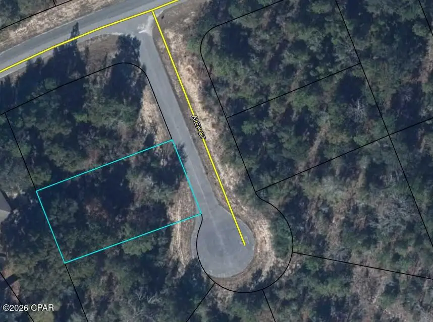 0000 Alex Court, Chipley, FL 32428 - #1