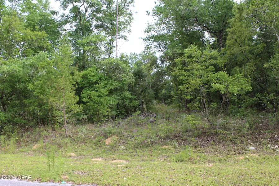 4148 Arnone Lane, Chipley, FL 32428 - #3