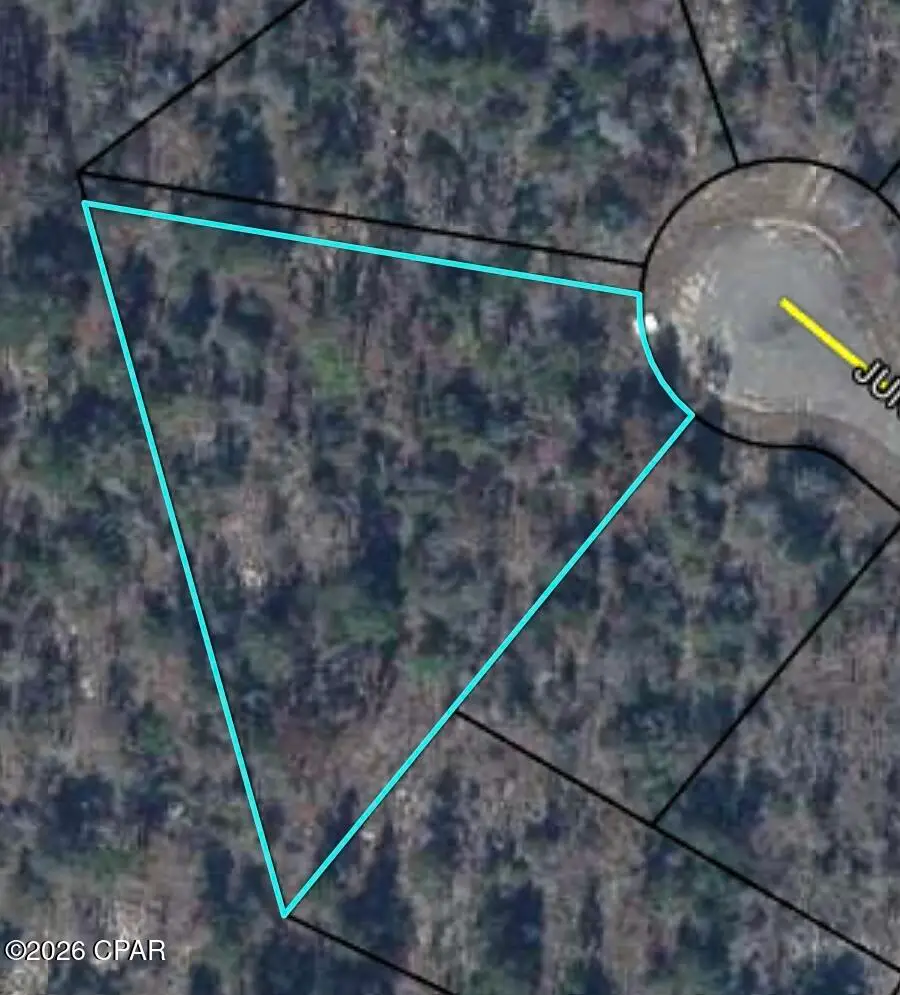 0000 June Court, Chipley, FL 32428 - #1