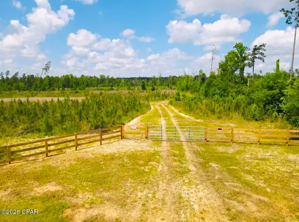 TBD Sinai Road, Sneads, FL 32460