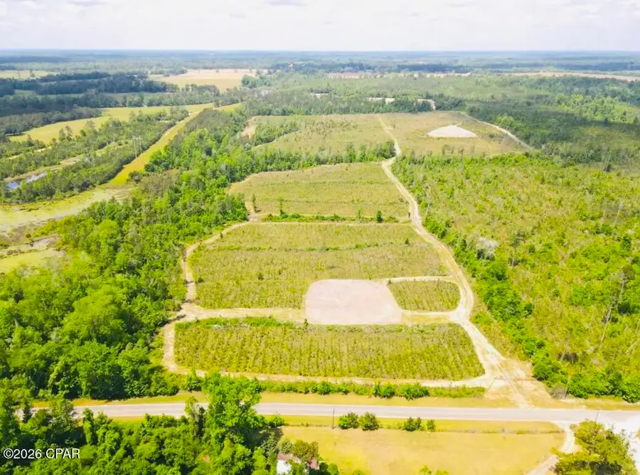 TBD Sinai Road, Sneads, FL 32460 - #2