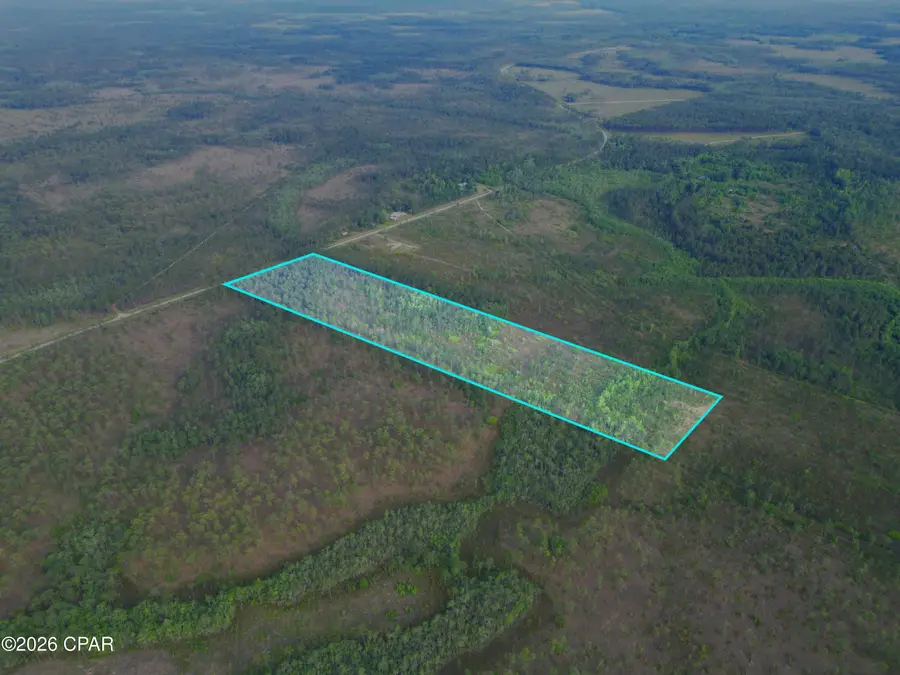 TBD SW County Road 379, Bristol, FL 32321 - #2