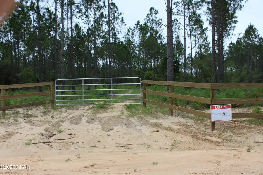 Lot 4 & 5 Pleasant Hill Road, Bonifay, FL 32425 - #2
