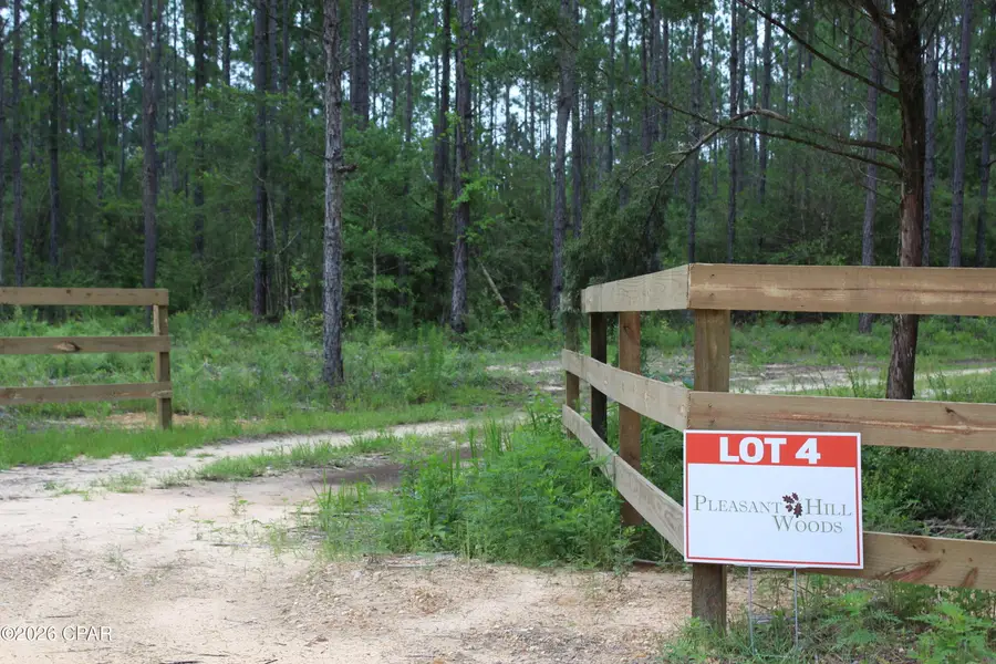Lot 4 & 5 Pleasant Hill Road, Bonifay, FL 32425 - #3