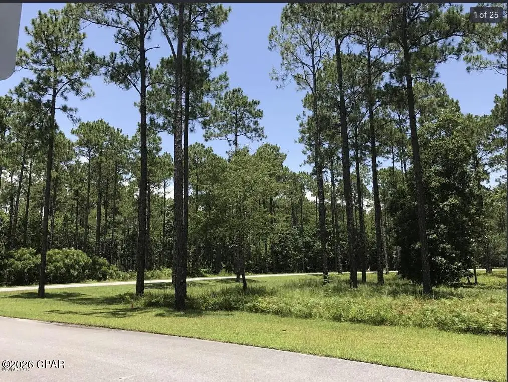8556 Preservation Drive, Panama City Beach, FL 32413 - #1