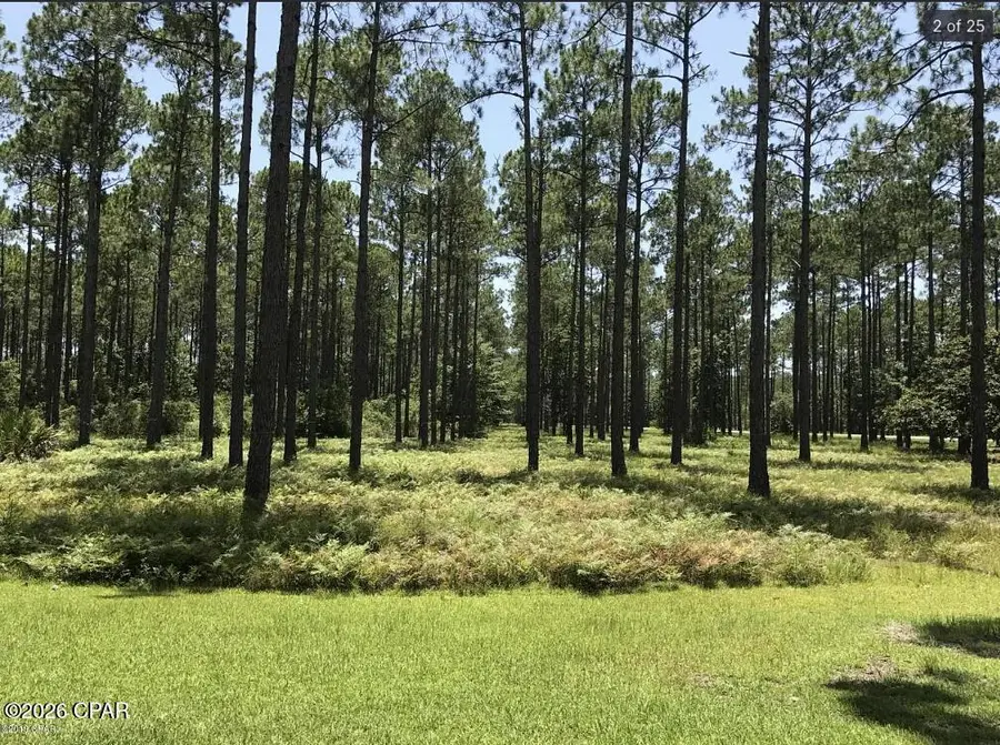 8556 Preservation Drive, Panama City Beach, FL 32413 - #2