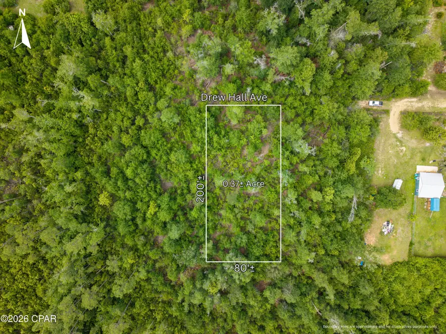 Lot 9-10 Drew Hall, Altha, FL 32421 - #3