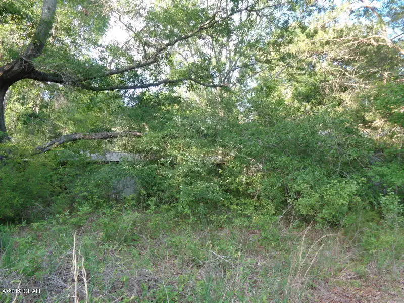 0 Madison Lane, Graceville, FL 32440 - #1