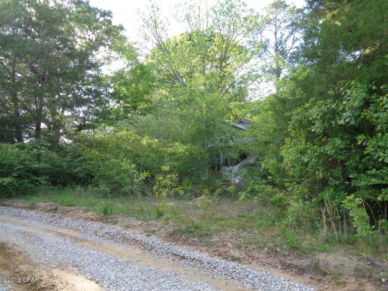 0 Madison Lane, Graceville, FL 32440 - #3