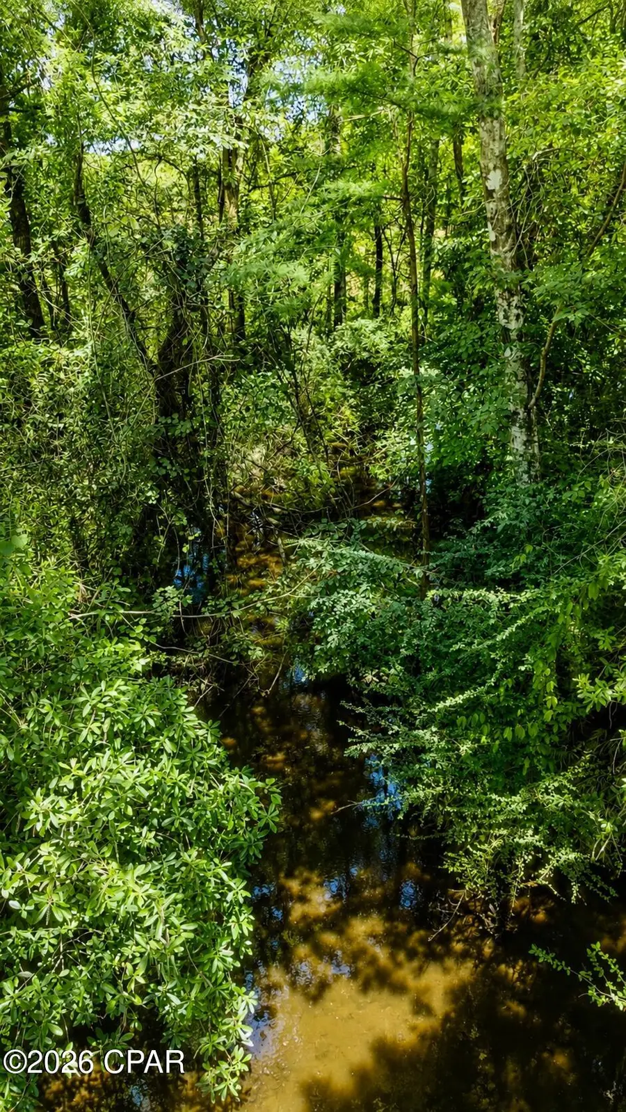 105 Acres Fl-2, Esto, FL 32425 - #2
