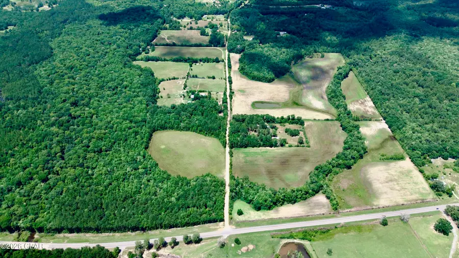 105 Acres Fl-2, Esto, FL 32425 - #3