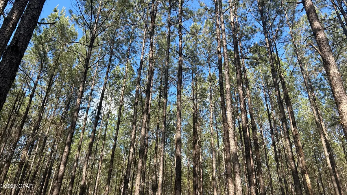 T Grimes Grimes Road, Laurel Hill, FL 32567 - #1
