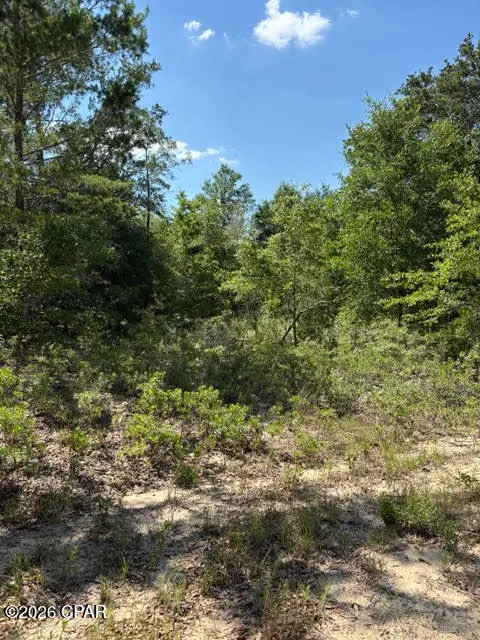 00 Pasofino Lane #M-2, Alford, FL 32420 - #1